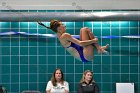 Swimming & Diving vs Babson  Swimming & Diving vs Babson College. - Photo by Keith Nordstrom : Wheaton, Swimming